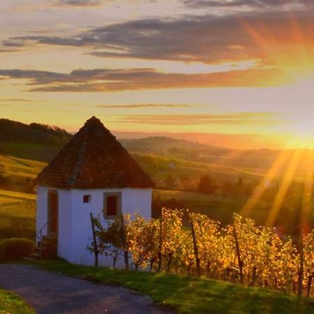 Ferienwohnung Vogesenblick Мюлльхайм Экстерьер фото