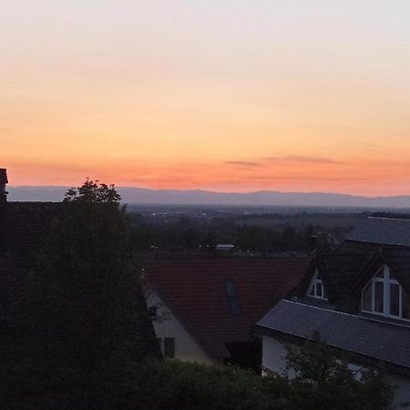 Ferienwohnung Vogesenblick Мюлльхайм Экстерьер фото